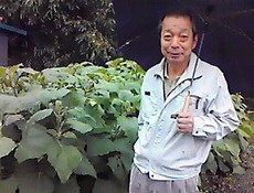 で、これがヤーコンメン
