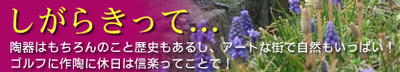 しがらきって・・・