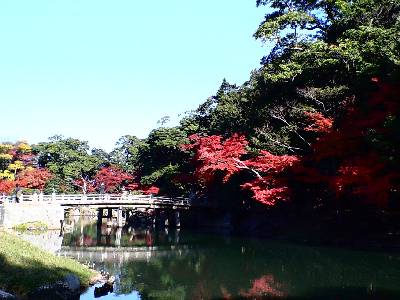 残紅葉