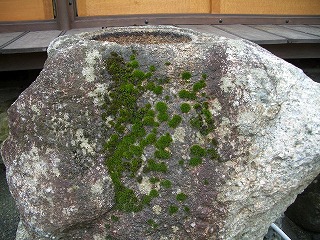お月見