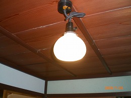 電灯の笠 色色