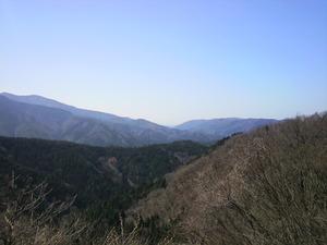 杉野谷
