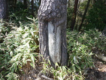 金勝寺へ行こう