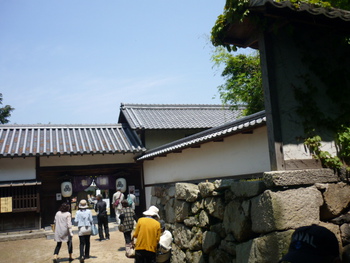 行楽日和でしたね