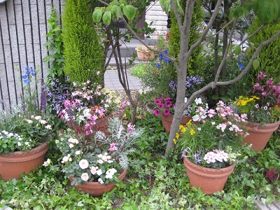 michiさんの花壇・・・・。2010春