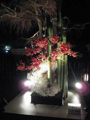 京都・花灯籠・・・・。