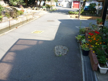 栗東出庭神社の盃状穴