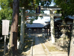 栗東出庭神社の盃状穴