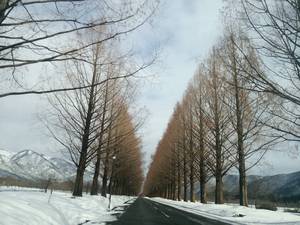 マキノへ雪遊びに行って来た マキノへ雪遊びに行って来た
