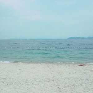 ほんまのほんまに 夏の終わり・・・ ほんまのほんまに 夏の終わり・・・