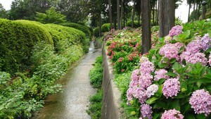 三室戸寺 三室戸寺