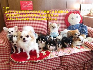 “DOG CAFE” PHOTO GALLERY  7月19日号