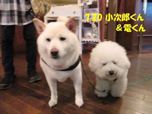 “DOG CAFE” PHOTO GALLERY  7月20日号