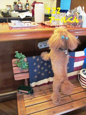 “DOG CAFE” PHOTO GALLERY  7月22日号