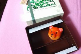 3月スタートです! 3月スタートです!