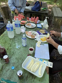 8/2 野洲川自然の森整備活動 草刈、若竹伐採