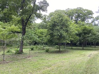 2/5 栢木市長@野洲川自然の森