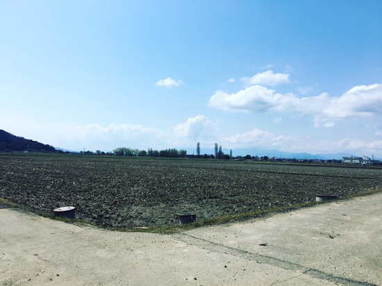 1人で風にあたる日。 1人で風にあたる日。