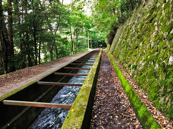 ぶらっと撮影。 ぶらっと撮影。