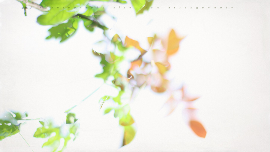 多重露出ぽく合成 / 久しぶりにY/C Planar50mm/f1.4 多重露出ぽく合成 / 久しぶりにY/C Planar50mm/f1.4