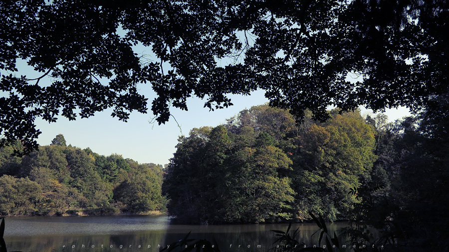 Canon PowerShot G1X 写真 作例