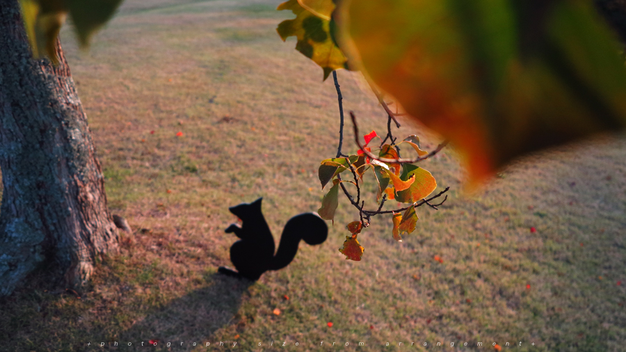 Canon PowerShot G1X 写真 作例 サファリ・希望ヶ丘運動公園