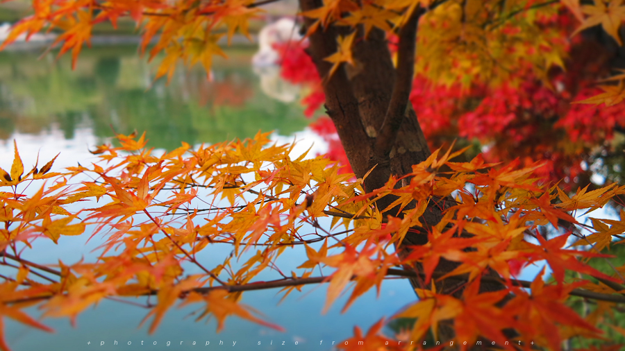 Canon PowerShot G1X 紅葉 滋賀県大津市文化ゾーン