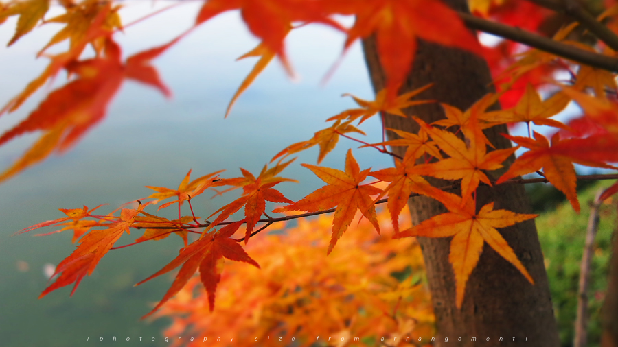 Canon PowerShot G1X 紅葉 滋賀県大津市文化ゾーン