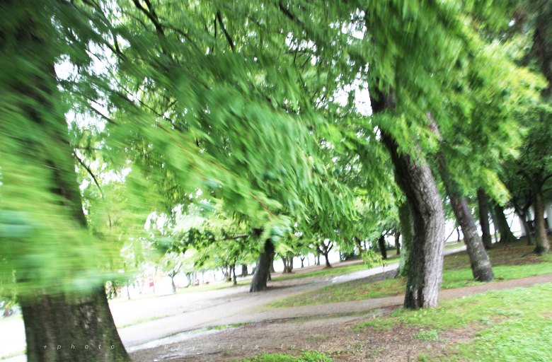 滋賀・生涯学習センターに写真展を見に行ってきました。 滋賀・生涯学習センターに写真展を見に行ってきました。