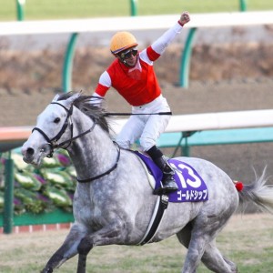 有馬記念で引退・・・3年連続でゴールドシップがオグリキャップの再来と成るか!? 有馬記念で引退・・・3年連続でゴールドシップがオグリキャップの再来と成るか!?