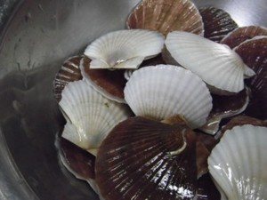 先週の話だけど