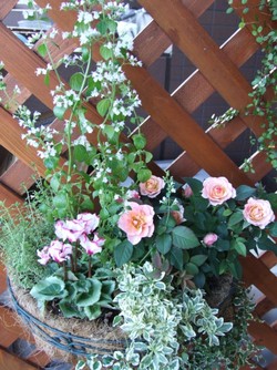 花 はいりました( ^ー^)ノ