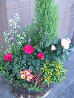 花 はいりました( ^ー^)ノ