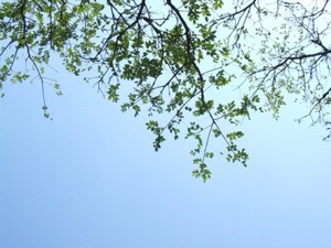 健康的にピクニック