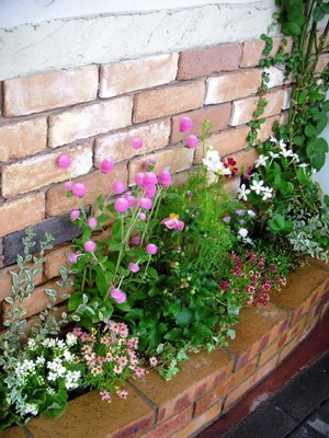 お店の花壇がきれいになりました♪