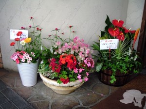 ありがとうの10年