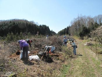 里山活動、象徴的な日