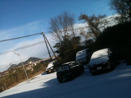 Snaps 20110116