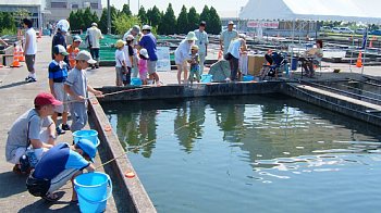 外来魚釣り体験