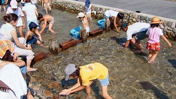 ふれあい河川コーナー