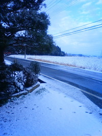 雪!…滋賀の北と南ででこんなに違う?
