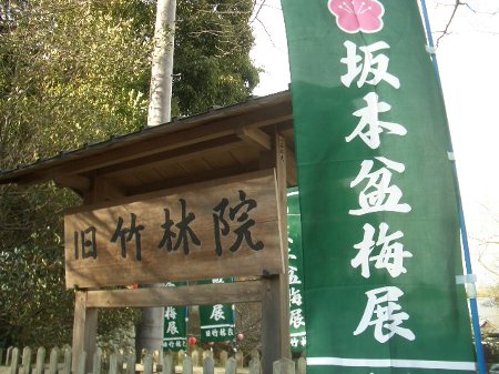 名勝庭園とともに楽しむ旧竹林院「坂本盆梅展」