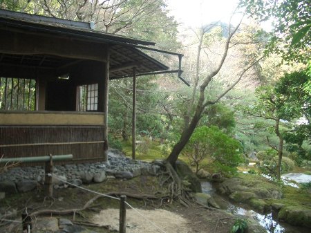 名勝庭園とともに楽しむ旧竹林院「坂本盆梅展」