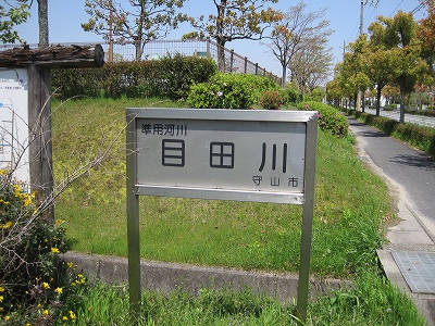 ほたる散策コース 守山銀座西交差点~ほたるの森資料館編
