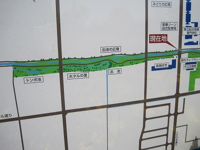 ほたる散策コース　守山銀座西交差点～ほたるの森資料館編