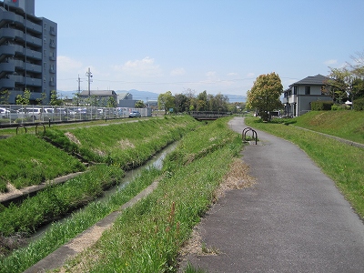 ほたる散策コース　守山銀座西交差点～ほたるの森資料館編