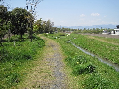 ほたる散策コース　守山銀座西交差点～ほたるの森資料館編