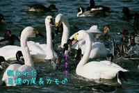 過去記事一覧
