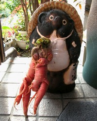 過去記事一覧