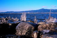琵琶湖の厳冬